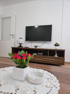 sala de estar con TV y mesa con flores en Dream Apartment, en Donje Mladice