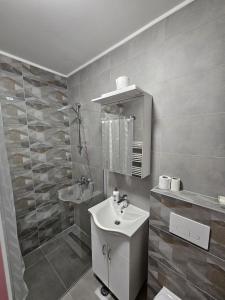 y baño con lavabo y ducha. en Dream Apartment, en Donje Mladice