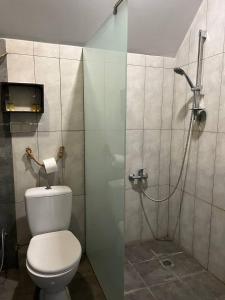 a bathroom with a toilet and a shower at Blur Inn Gallery in Yerevan