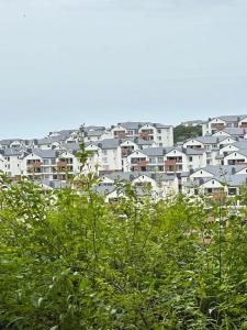 un grupo de casas blancas en una ciudad en Coastal Retreats, en Ballito