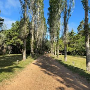 Un jardín fuera de Hotel Chacra Bereshit