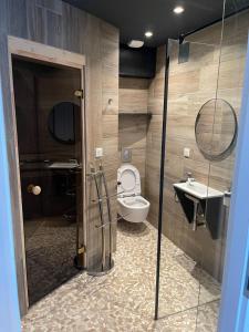 een badkamer met een toilet en een wastafel bij Maison Dépendance Privative in Benfeld