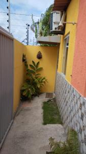 un mur jaune avec une usine à côté d'un bâtiment dans l'établissement Loft agradável em João Pessoa, PB, à João Pessoa