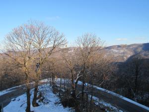 un grupo de árboles en la nieve en una colina en Il Bric en Viola