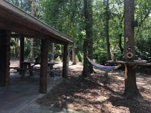 a hammock in a picnic shelter in the woods at De Brandaris in Norg