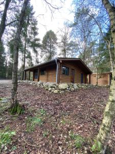 a log cabin in the woods with a yard at De Brandaris in Norg