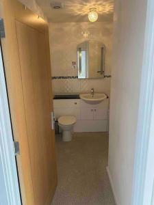 La salle de bains est pourvue de toilettes, d'un lavabo et d'un miroir. dans l'établissement 2 Bed Beach-House. Footsteps to Seafront & SA1 Marina, à Swansea