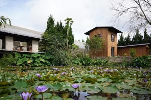 Zahrada ubytování Dalaha Retreat