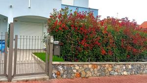 Zahrada ubytování Corte dei Castellari 32A + 34 fotografií