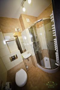 a bathroom with a shower and a toilet and a sink at Pensjonat Gaborek in Krynica Zdrój
