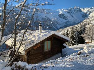 贝尔瓦尔德Chalet Sträba的小屋被雪覆盖,背景是群山