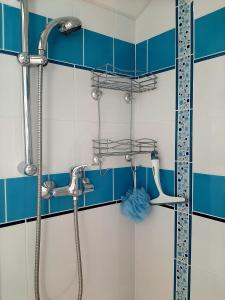 y baño con ducha y azulejos azules y blancos. en Chambres & Table d'hôtes La Bordelaise en Cenon