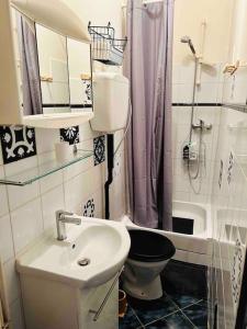 uma casa de banho com um lavatório, um WC e um chuveiro em Hypercentre Studio Gambetta em Cahors
