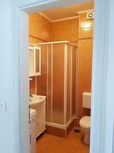 a bathroom with a shower and a toilet and a sink at Apartment Oasis - Novalja in Novalja +22 photos