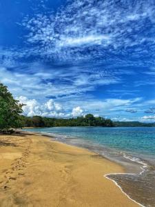 a beach with a blue sky and the ocean at NEW Jungle Casita- Steps away from Punta Uva in Punta Uva