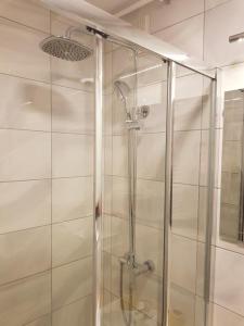 a bathroom with a shower with a glass door at Zagreb apartment in Zagreb