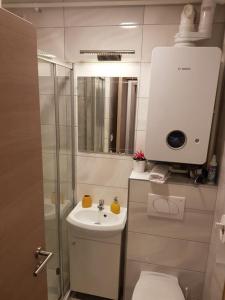 ein Bad mit einem WC, einem Waschbecken und einer Dusche in der Unterkunft Zagreb apartment in Zagreb