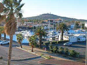 een jachthaven met palmbomen en boten in een haven bij Village Naturiste Studio Luxe in Cap d'Agde