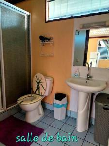 uma casa de banho com um lavatório, um WC e um espelho. em FARE Miti en bord de mer Fare Tepua Lodge em Uturoa