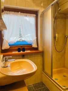 uma casa de banho com um lavatório, um chuveiro e uma janela. em Hexen Haus em Oberau