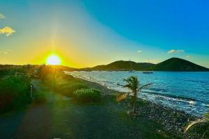 una playa con una palmera y la puesta de sol en The TipSea Turtle en East End