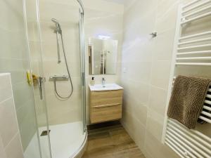 La salle de bains est pourvue d'une douche et d'un lavabo. dans l'établissement Le Faubourg, à Rodez