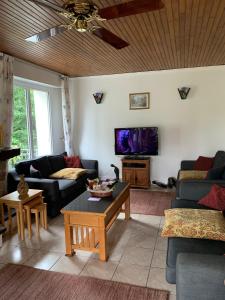 La maison de l'étangにあるテレビまたはエンターテインメントセンター