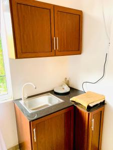 A kitchen or kitchenette at alovera inn