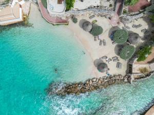 Naturlandskabet i nærheden af lejligheden