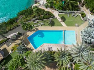 Swimmingpoolen hos eller tæt på Appartement Flamboyan op Ocean Resort, Mambo Curaçao