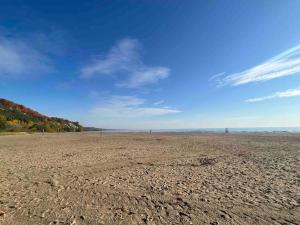 uma praia vazia com um céu azul ao fundo em Beautiful house near bluffers beach, 25 minutes to Toronto Downtown, free parking, and wifi em Toronto