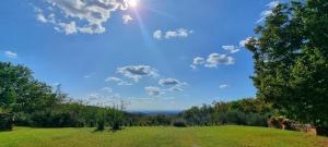 un campo verde con árboles y el sol en el cielo en Podere Cereo, en Villaga