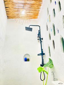 a bathroom with a plant and a light on the wall at Balai Lawaan Charming Sanctuary in Iloilo City