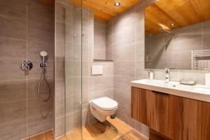 ein Badezimmer mit Toilette, Waschbecken und Dusche in der Unterkunft TARDEVANT 21 in Le Grand-Bornand