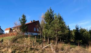 uma casa no topo de uma colina com árvores em Mountain resort house-Planinska vikendica em Han Pijesak