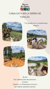 Fotografie z fotogalerie ubytování Cabaña Buganvilia, Tapalpa v destinaci Tapalpa