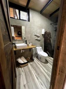 a bathroom with a toilet and a sink at Cabaña Petunia, Tapalpa in Tapalpa +31 photos