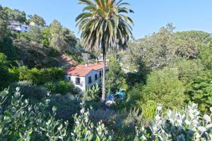 Designer Pool Villa Under the Hollywood Sign في لوس أنجلوس: نخلة أمام البيت الأبيض