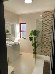 ein Bad mit einem Waschbecken, einer Dusche und einem WC in der Unterkunft Alojamento Casa da Pedra Verde in Vieira do Minho