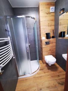 a bathroom with a shower and a toilet at Willa Vegas in Ustronie Morskie