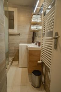 La petite salle de bains est pourvue d'un lavabo et d'une douche. dans l'établissement Joli T2 proche du métro avec vue Tour Eiffel, à Issy-les-Moulineaux