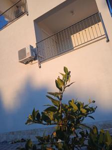 Balkón nebo terasa v ubytování Apartments Jela