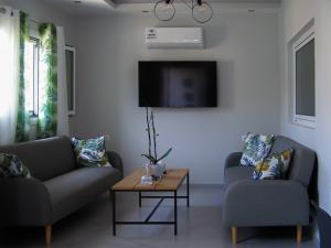 a living room with two couches and a tv at Luxury Rofos Residence in Elounda