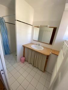 a bathroom with a sink and a mirror at Chez Agathe au Chalet de segure in Ristolas