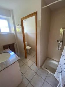 ein Bad mit einer Dusche, einem Waschbecken und einem WC in der Unterkunft Chez Izaline au Chalet de segure in Ristolas