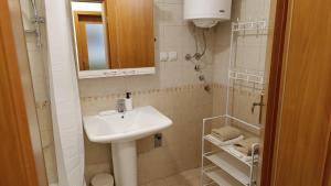 La petite salle de bains est pourvue d'un lavabo et d'une douche. dans l'établissement Apartman Anja, 