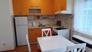 Kuchyň nebo kuchyňský kout v ubytování Apartman Anja