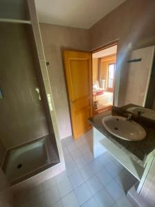 een badkamer met een wastafel en een douche bij Chez Bérangère au Chalet de segure in Ristolas