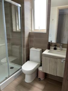 a bathroom with a toilet and a shower and a sink at Arriendo Departamento 10 Norte Viña del Mar in Viña del Mar