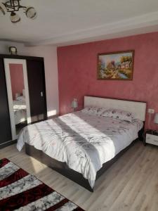 una camera con un grande letto con una parete rossa di Casa M&M a Vişeu de Sus